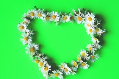 Tie a heart-shaped flower chain made of daisies