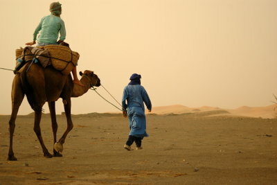 Berber asli berasal dari Maroko