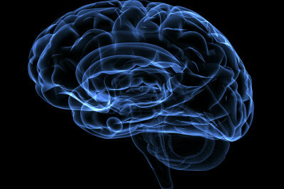 Epifiza velikosti graha leži nad srednjim možganom.