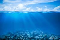 Ada berapa lautan di bumi?