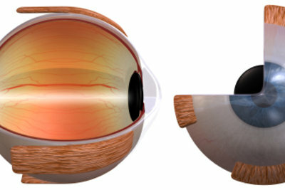 L'occhio in 3D