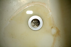 Määrdunud ja ummistunud kanalisatsioon võib kiiresti viia väikeste kärbeste tekkeni vannitoas.