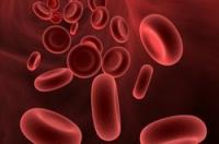 Како се крв преноси у венама?