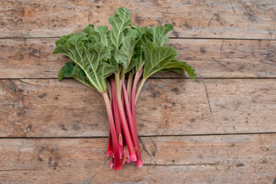 You don't have to peel young rhubarb.