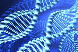 С помощта на Code Sun можете да преобразувате ДНК в аминокиселини.
