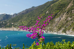 Thomas Mann menggunakan pantai di Laut Liguria sebagai penyerahan.