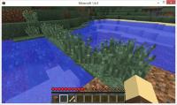 VIDEO: Grass Grass în Minecraft