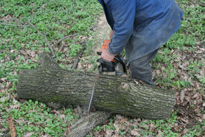 Arbetar efter att ha klippt ett träd.