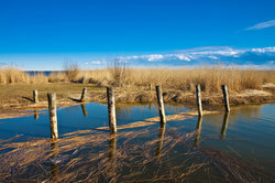 A typical lagoon landscape
