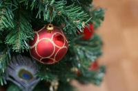 Božično drevo in njegova alternativa