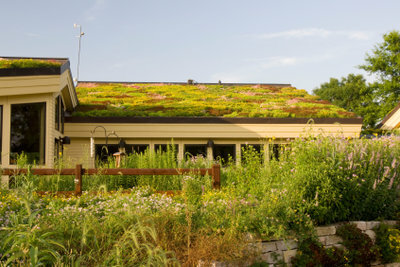 I tetti verdi sono in aumento.