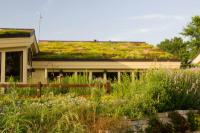 Use granules correctly for green roofs