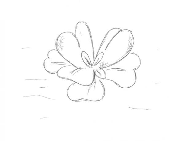 Shell flower