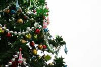 Qual a cor da árvore de natal este ano?