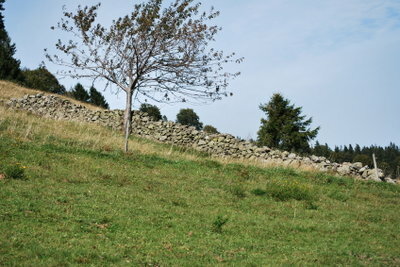 Field stones look decorative when walled.