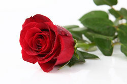 Mange kvinner vil ha oppmerksomhet og små overraskelser til Valentinsdag.