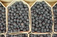 Blueberries and their calories