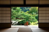 Φτιάξτε μόνοι σας ιαπωνικές συρόμενες πόρτες