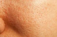 The function of the pores