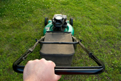 Den första gräsklippningen måste göras korrekt för att din gräsmatta ska kunna växa framgångsrikt.