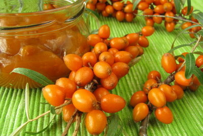 Sea buckthorn is recommended in autumn.