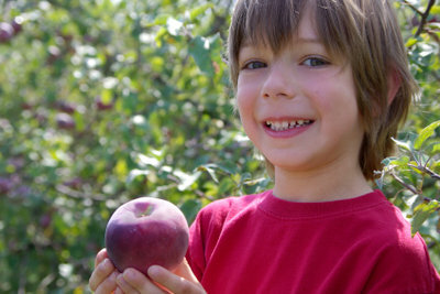 Güzel kırmızı elma yanaklarını hasat edin