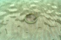 Ringen af ​​polykrater