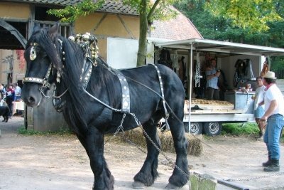 Het paard heeft plaatsgemaakt voor de trailer.