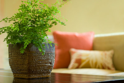 緑の植物は室内の空気を改善します。 