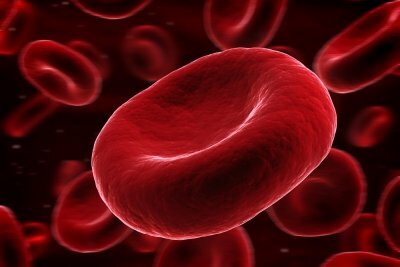 Os glóbulos vermelhos são uma parte essencial do sangue.