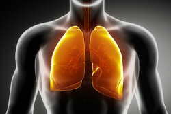 Os pulmões são órgãos vitais.