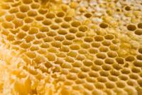 Bag selv mini honningkagehjerter