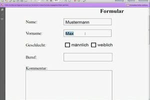 Complete el formulario PDF: así es como funciona