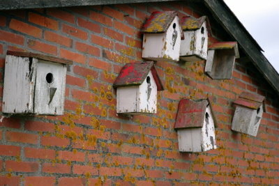 You can easily build nest boxes yourself.