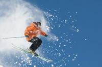 Garums: Twin Tip Ski