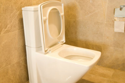 Not only the toilet itself, but also the cistern should be cleaned regularly.