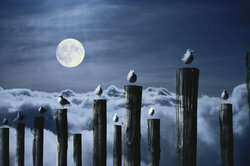 האם לילות ירח מלא קרים במיוחד?