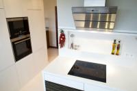 How does an induction cooker work?