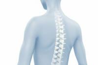 Gradnja mišic okoli vratne hrbtenice