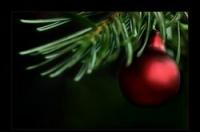 Juletræ: kunstigt og stadig smukt