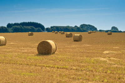 Velikosti polí jsou obvykle uvedeny v hektarech.