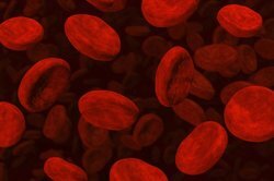 De ademgassen worden voornamelijk getransporteerd via de hemoglobine van de rode bloedcellen.
