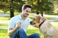 犬の調教師として自営業になる-何に注意すべきか