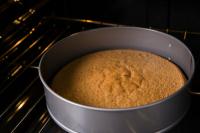 Use a 16 cm springform pan for baking