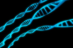 DNA har formen av en dubbel helix.