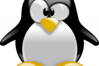 התקן את Linux Mint לצד Windows 10: הוראות