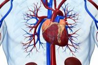 What to do with circulatory problems