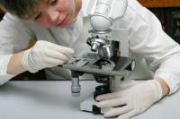 La différence entre le microscope électronique et le microscope optique s'explique simplement