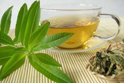El delicioso té de hierbas está hecho de verveine.
