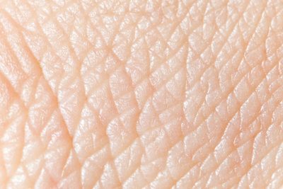 La pelle è composta da diversi strati.